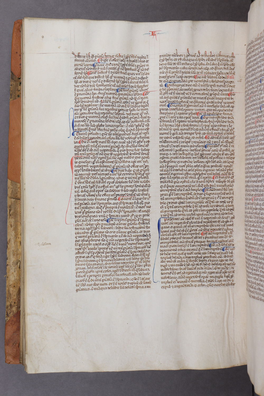 Folio 113 verso
